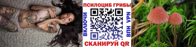 KRAKEN   Ладушкин  Галлюциногенные грибы Psilocybe 